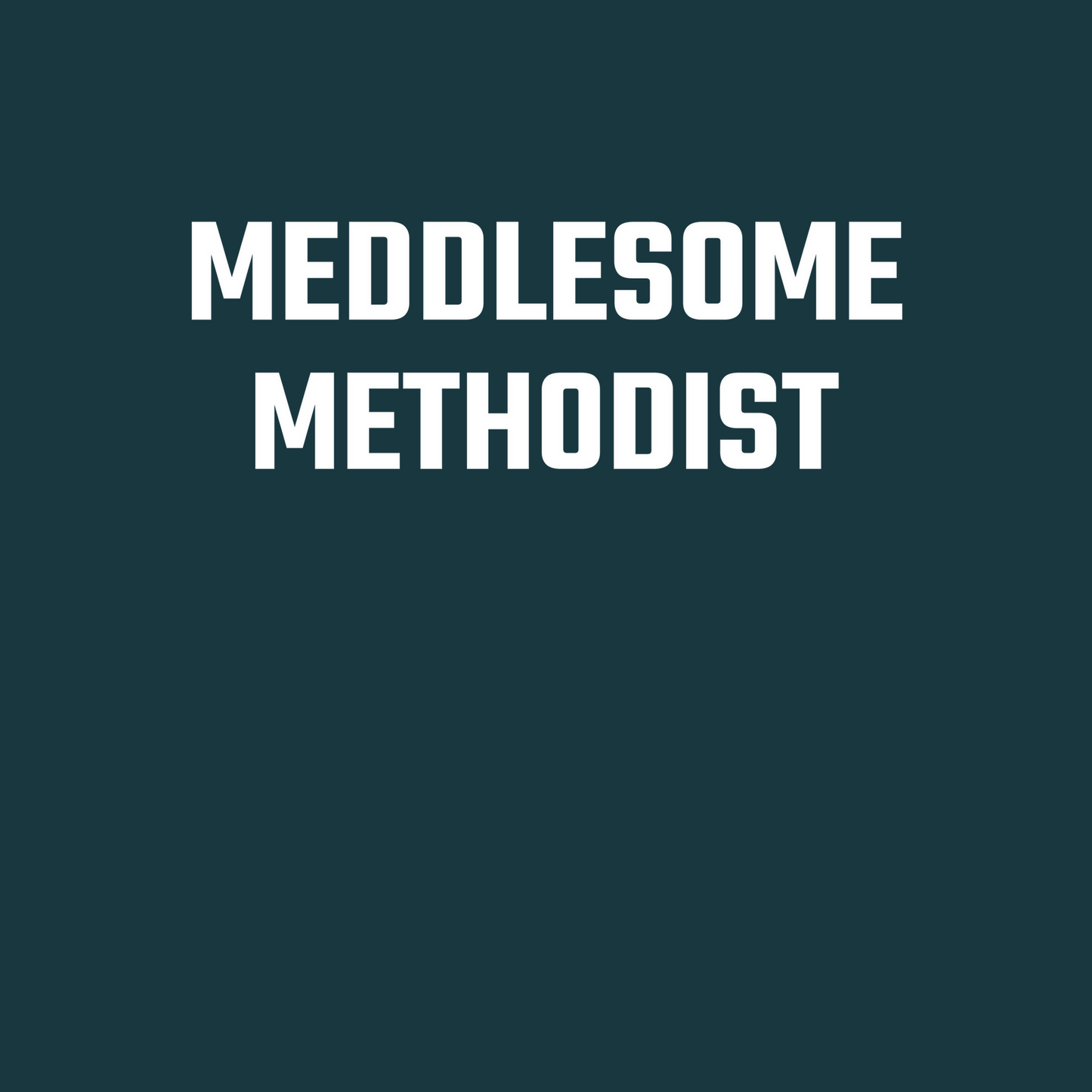 Meddlesome Methodist Long Sleeve